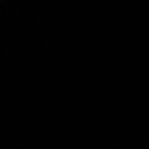 Meet your Posher, Daphnée